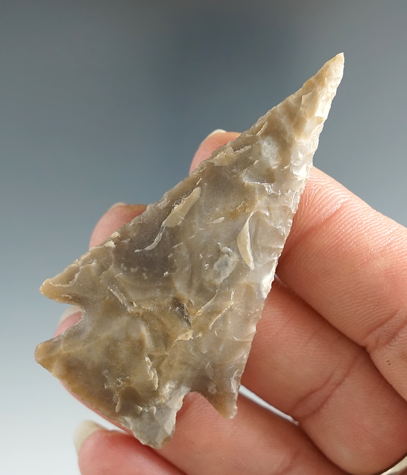 2 1/2" Castroville found in Wilson Co., Texas. Comes with a Rogers COA.