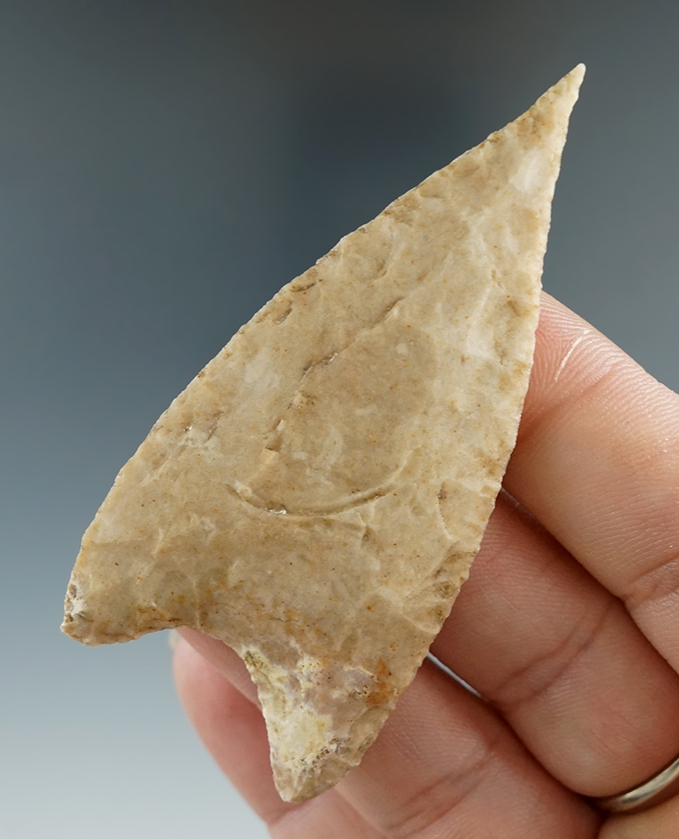 2 13/16" Kinney with a needle tip, found in Bandera Co., Texas. Comes with a Rogers COA.