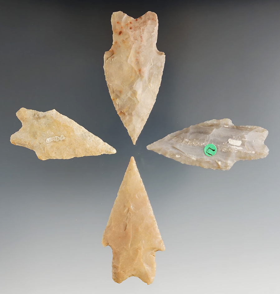 Set of four Pedernales points found in Texas, largest is 2 5/8".
