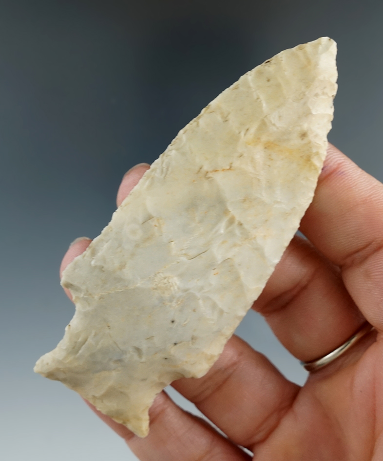 2 15/16" Hardin made from Burlington Chert, found in St. Louis Co., Missouri.  Davis COA.