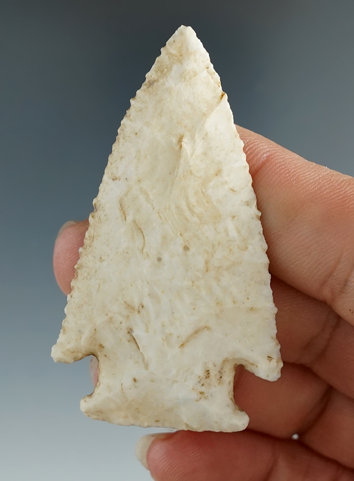 2 1/4" Knobbed Hardin made from Burlington Chert, found in St. Louis Co., Missouri. Davis COA.