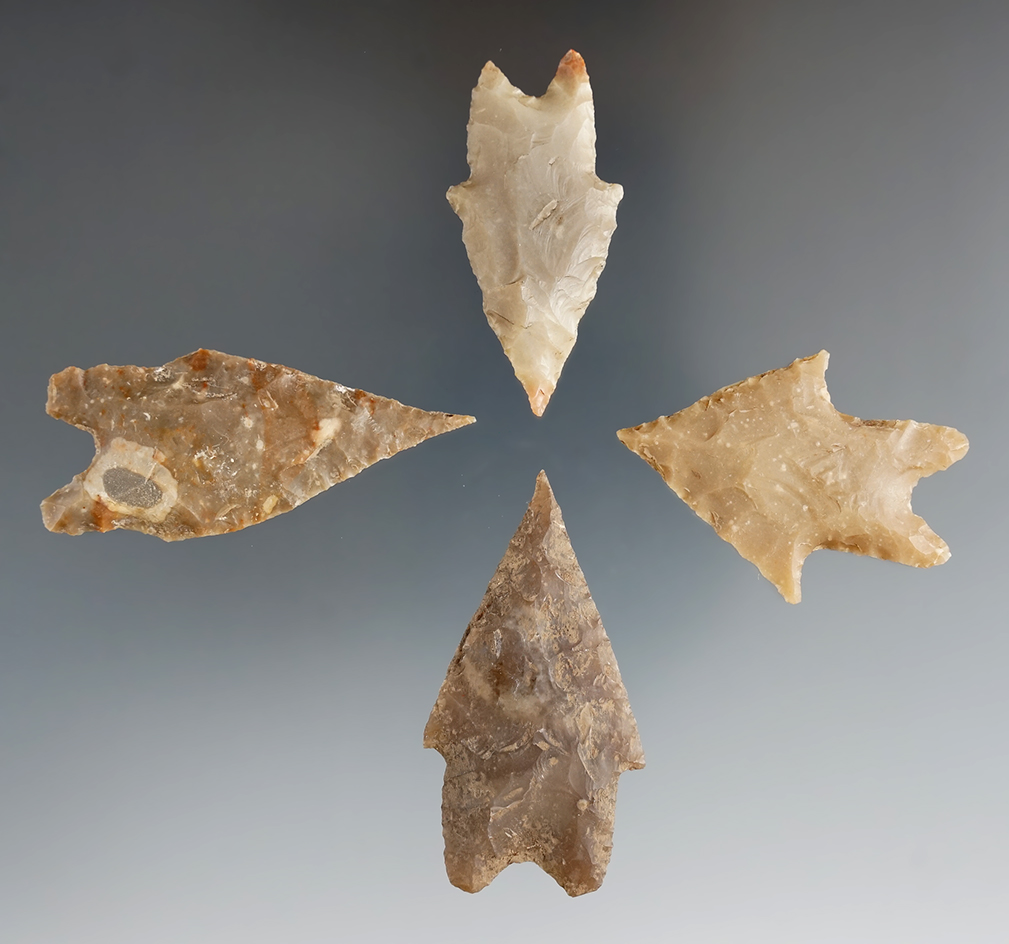 Set of four Texas Pedernales points, largest is 2 1/4".