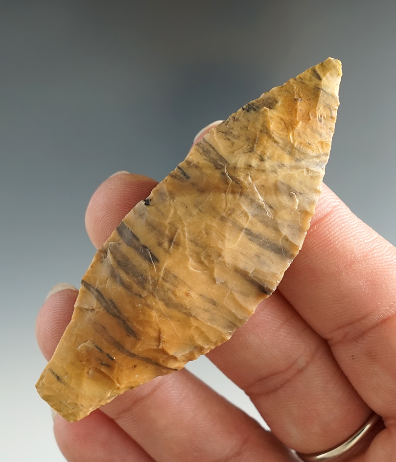 2 3/4" Spedis found near the Columbia River in Washington/Oregon. Comes with a Stermer COA.