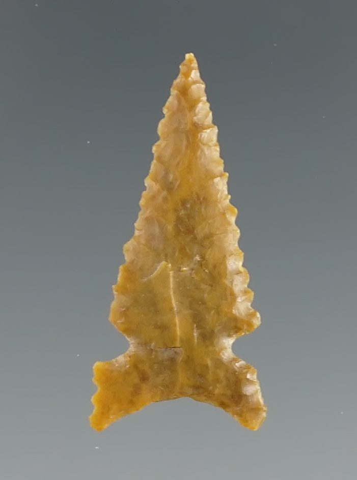 Excellent flaking on this 1 1/8" side notch Texas bird point.