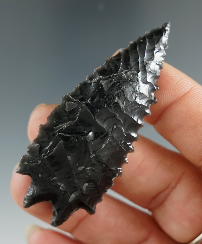 Excellent flaking, style and serrations on this 2/3/8" obsidian Pinto Basin found in Oregon.