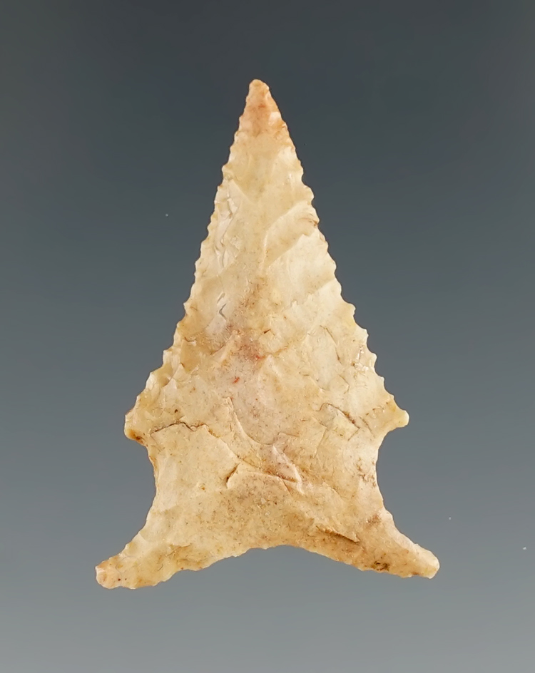 1 3/8" Frio point found in Texas.