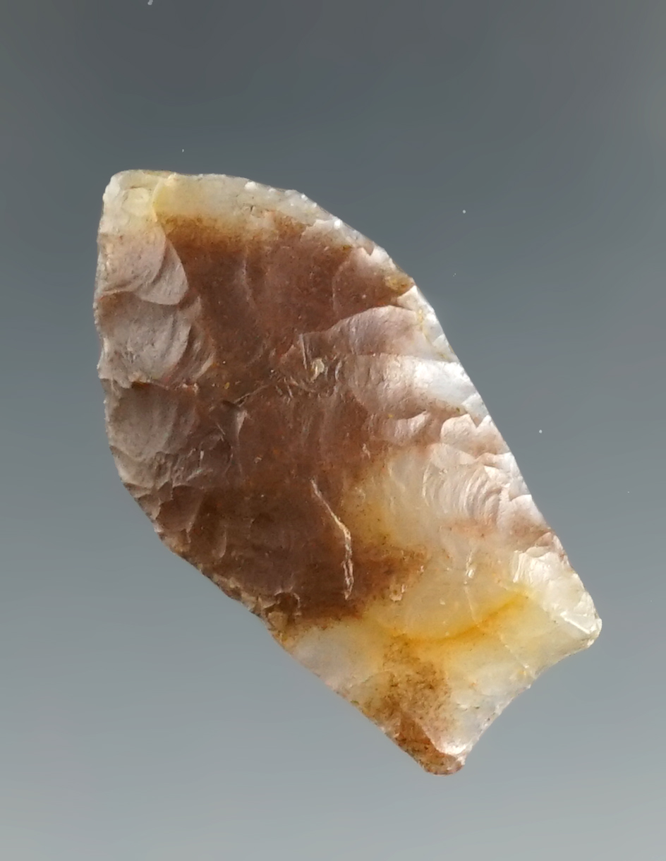 1 5/16" Paleo Spedis made from beautiful Moss Agate. Found in Pasco Co., Washington. 3 COAs.