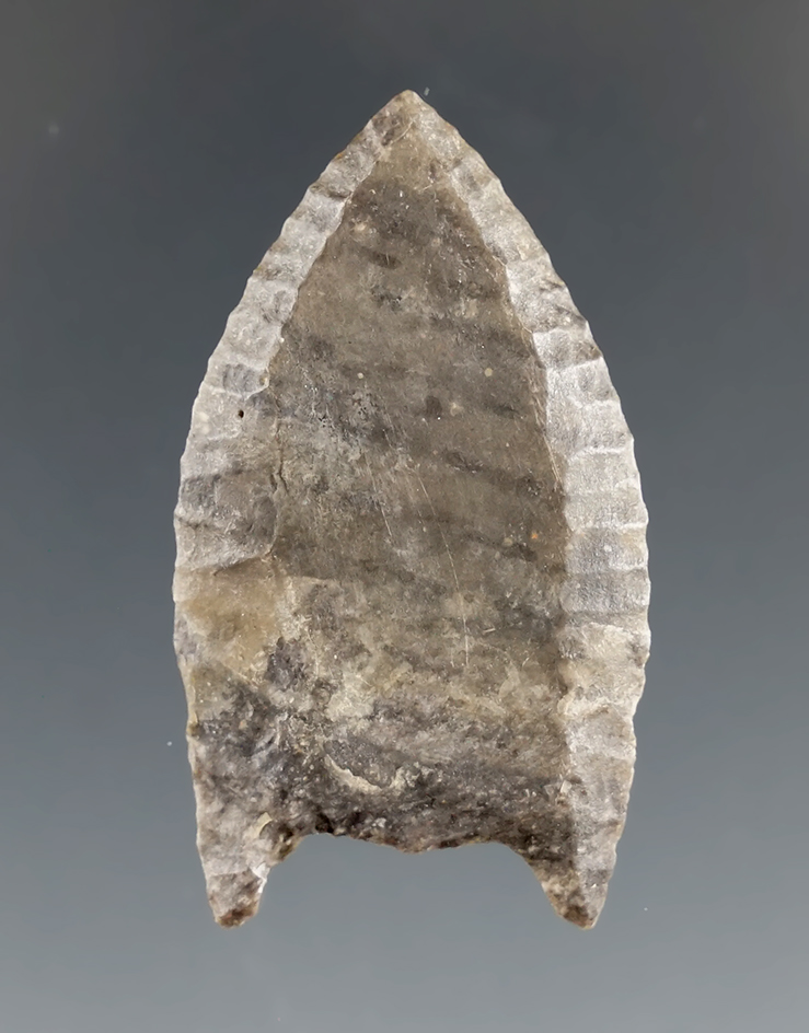 1 1/2" Folsom found in El Paso Co., Texas. 1" of top section is restored. Rogers COA.