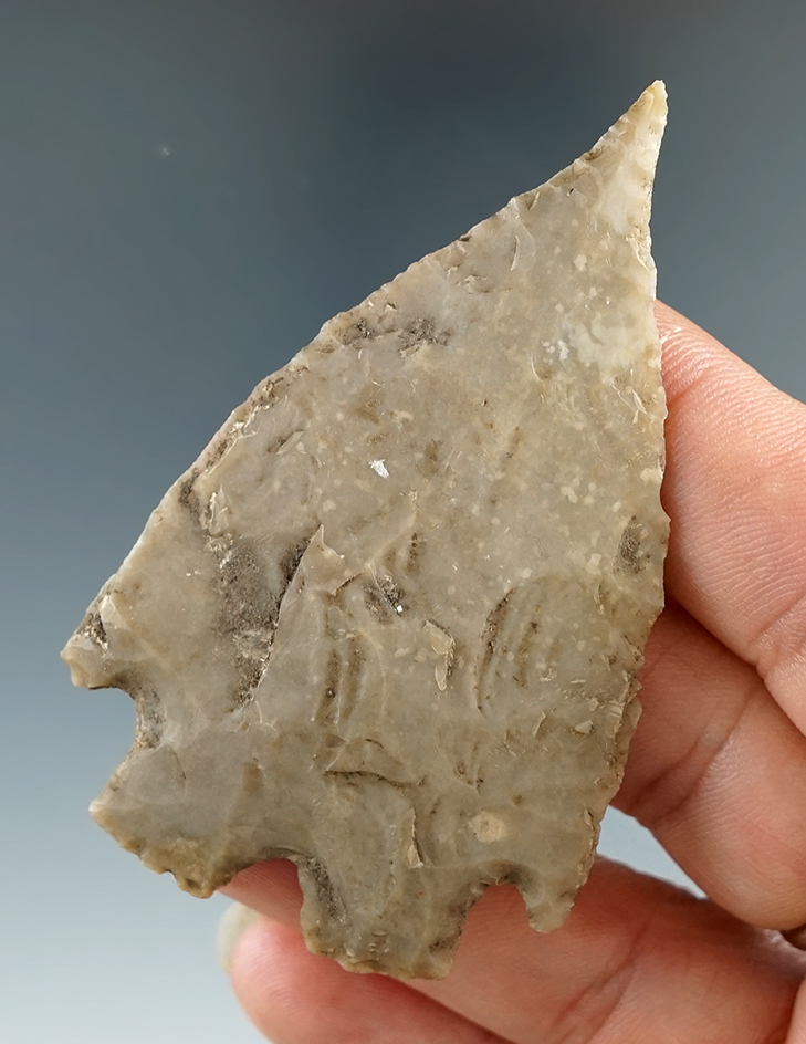 2 13/16" Montell found in Medina Co., Texas. Comes with a Rogers COA.