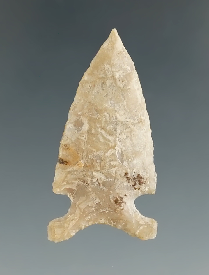 1 3/8" Caracara found in Zapata Co., Texas. Comes with Stermer and Rogers COA's.