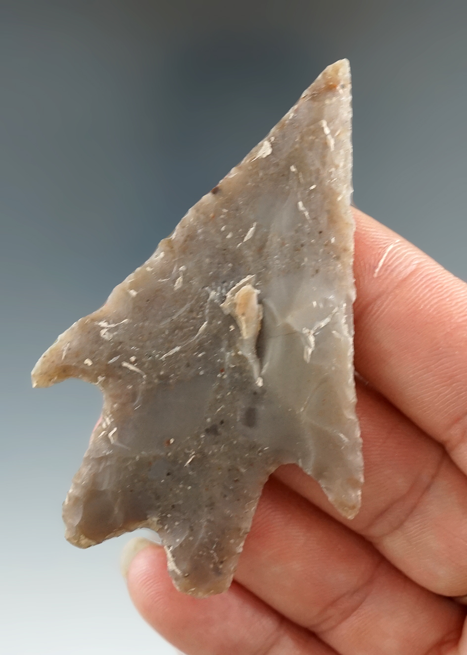 2 11/16" Pedernales found in Real Co., Texas. Comes with a Rogers COA.