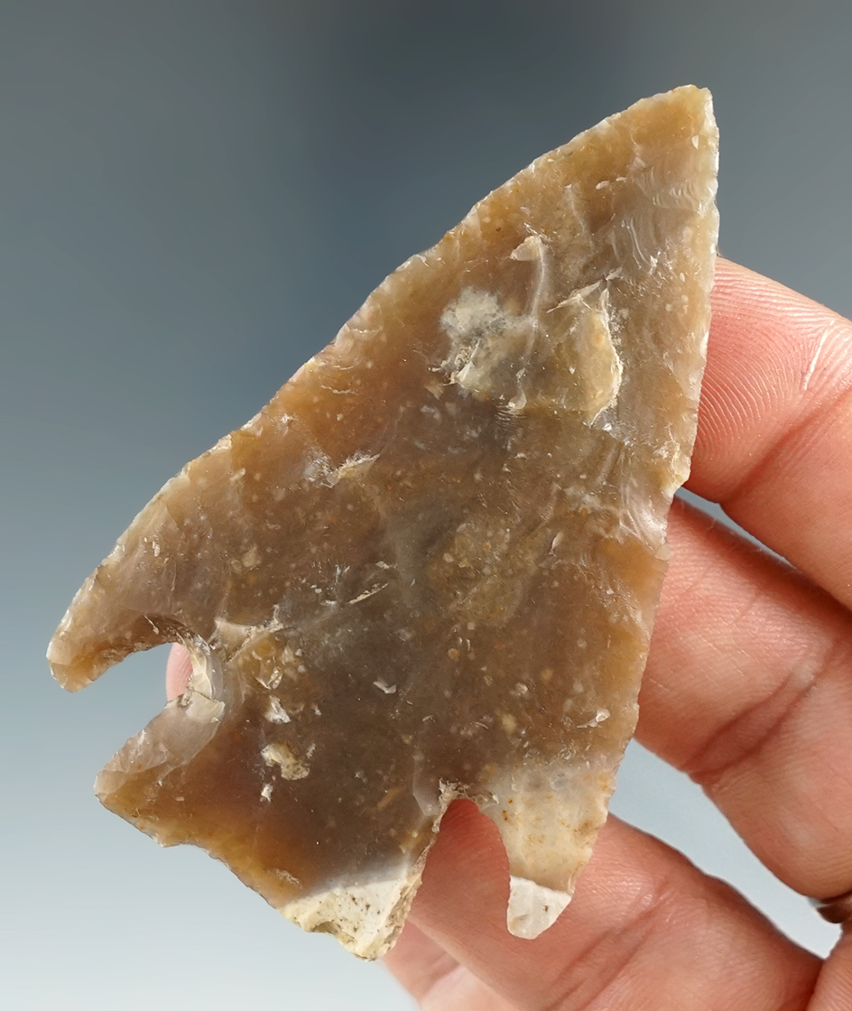 2 5/8" Castroville found in Bandera Co., Texas. Comes with a Rogers COA.