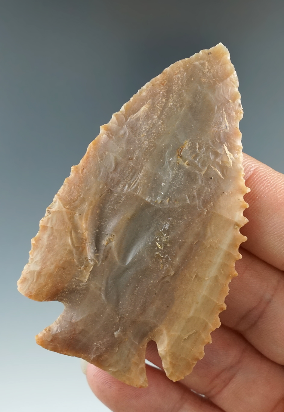 2 3/4" Lost Lake - Carter Cave Flint, found in Madison Co., Kentucky. Davis and Jackson COA's.