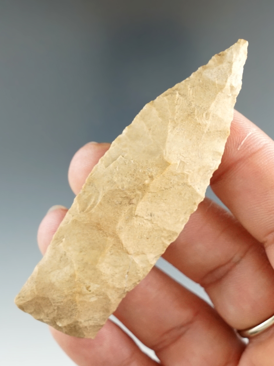 2 15/16" Copena found in Tennessee.