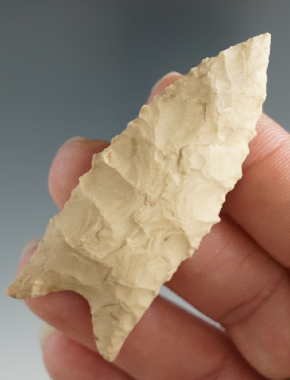 2 3/8" Dalton found in Hardin Co., Tennessee. Comes with a Stermer COA.