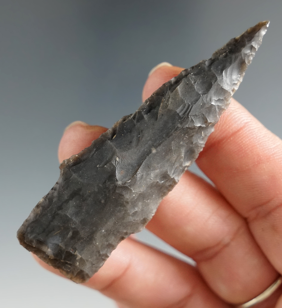 2 3/4" Travis found in Williamson Co., Texas.