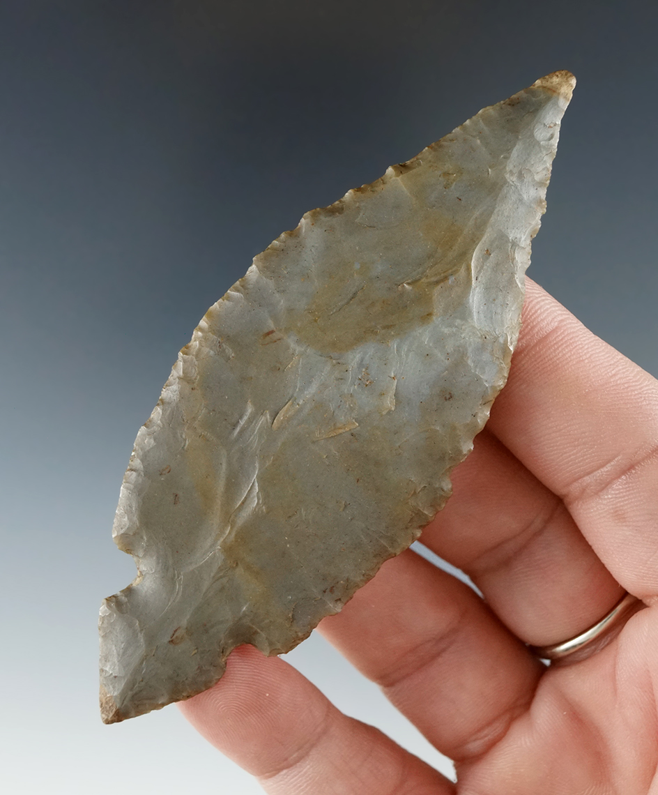 Very thin and exceptionally well flaked! Classic style 3 11/16" Hornstone Turkeytail - Indiana.