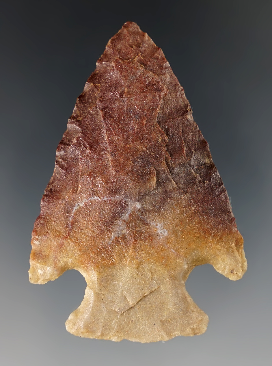 Outstanding 2 1/2" Hopewell point made from nicely colored chert. Found in the Midwestern U.S.