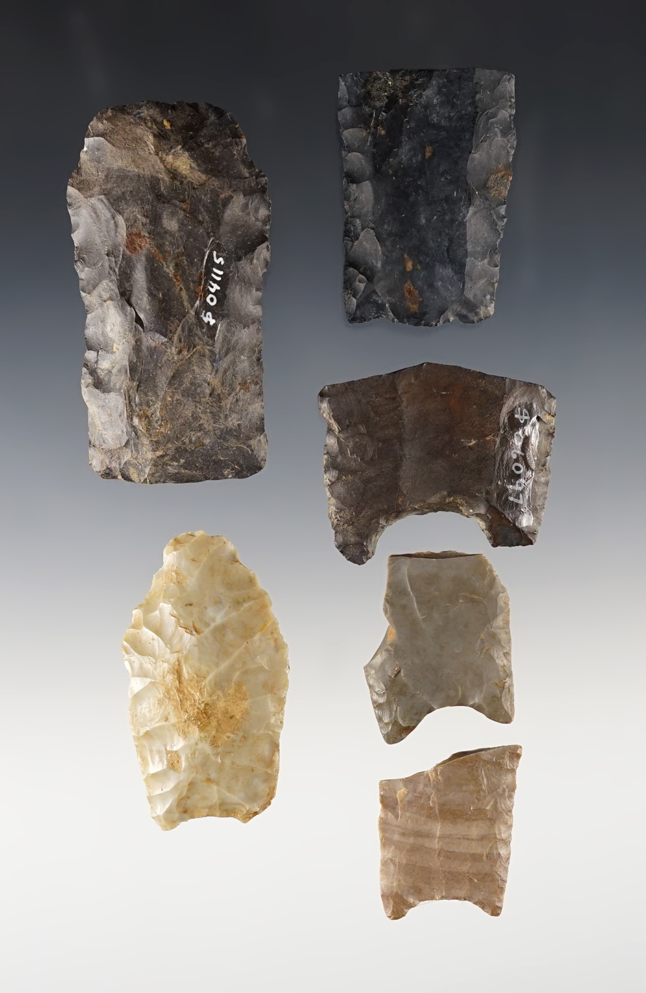 Set of 6 assorted Paleo artifacts including bases and points. The largest is 2 1/2".