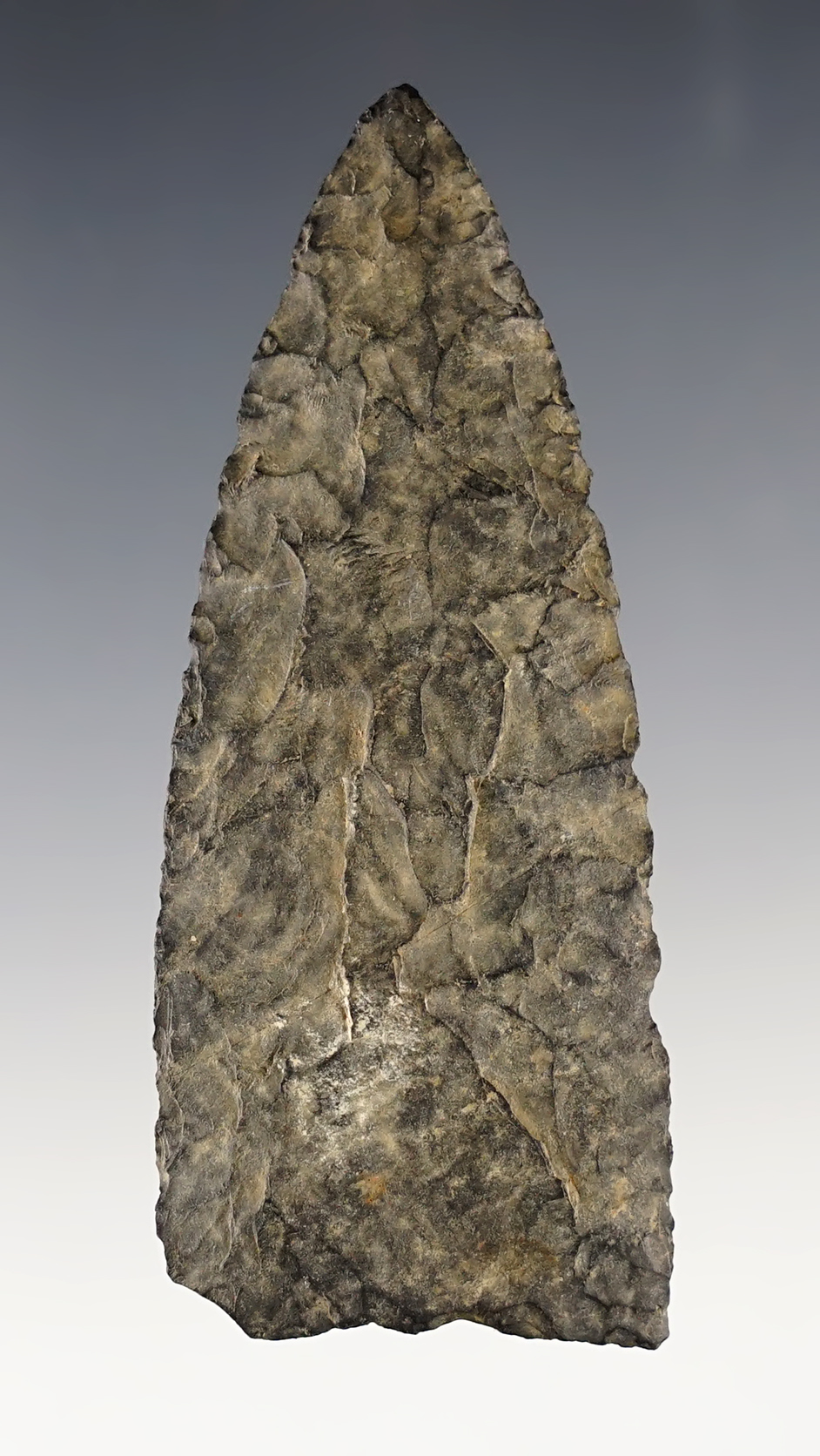 3 5/16 " nicely flaked and thin paleo blade. Found in Silver Lake, Oregon.