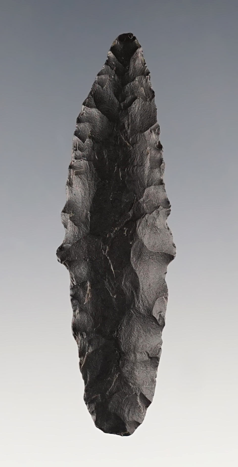 2 3/16" Parman found near Silver Lake, Harney Co., Oregon. Ex. Dr. Bill Tatu, Dewey Dietz. 